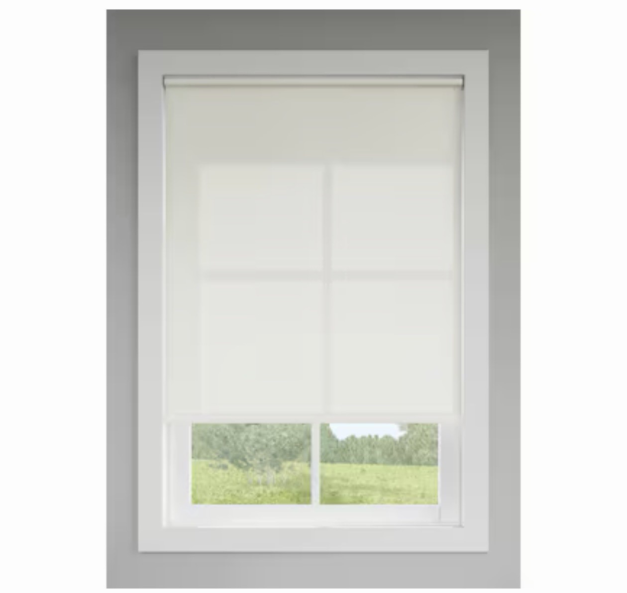 Levolor Trim+Go Fabric Roller Shade 55×72 Seashell Light Filtering